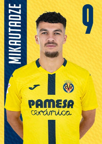 MIKAUTADZE